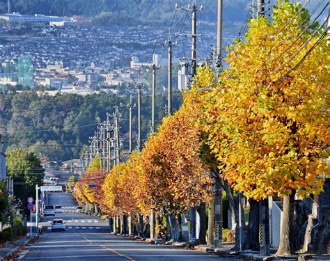 【最新】名張市で近くのデリヘルを探す｜風俗じゃぱ